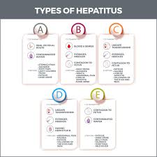 Image result for hepatitis symptoms