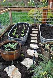 Pin On Garden