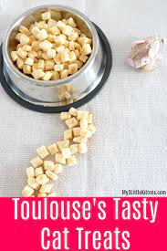 Toulouse S Tasty Cat Treats Are Easy Homemade And Diy Your Kitty Will Love This Healthy Recipe Homemade Cat Food Cat Treats Cat Treats Easy