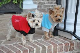 new highline fleece dog coats by dogie design