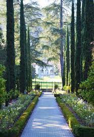Italian Garden Hedge Cipreste Italiano Arquitetura Jardim Belos Jardins