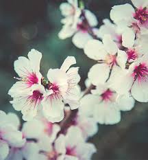 Mandee Thomas Designs » Contact