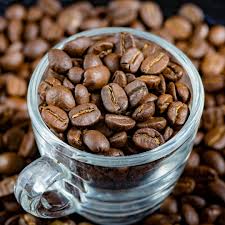 Image result for Coffea arabica