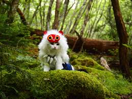 You can see a lot of pictures, upload your, track trends, and communicate! ã‚‚ã®ã®ã'å§« Hotãƒ¯ãƒ¼ãƒ‰