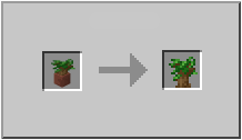 How To Get Dark Oak Trees In Minecraft - Youtube