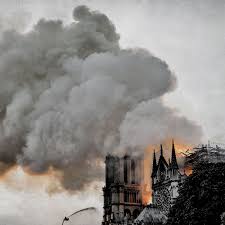 Paul sloane offers up 5 important questions to ask yourself every day. The Day Notre Dame Burned The Ringer