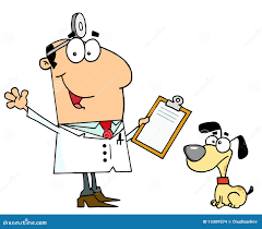 动画片白种人狗人兽医向量例证. 插画包括有照片, 工作, 狩医, 向量, 吉祥人, 艺术, 动画片- 15309574