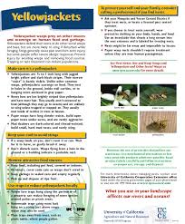 The pain comes when you don't know a yellow jacket nest is present and simply go outside minding your own business, mowing your lawn. Yellowjackets Quick Tips Natural Pest Control