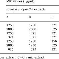 Image result for Fadogia ancylantha