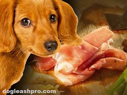 Small, uncooked pork bones that are too large for the dog to swallow whole dogs can eat uncooked pork bones, but eating cooked pork bones can be dangerous. Can Dogs Eat Prosciutto Dog Leash Pro