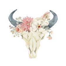 Cattle watercolor painting bull skull flower, longhorn, bull skull with headpiece illustration png clipart. Boho Bull Skull Background Novocom Top