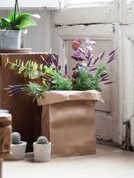Decoracion con plantas para cumpleaños. 20 Rincones Con Plantas Dentro De Casa Plantas De Interior