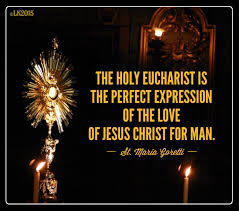 It was a common preoccupation of the revisers that original liturgical compositions should be replaced with scriptural quotes, but st thomas' mass for corpus christi was already mostly scriptural anyway, and was therefore left alone in 1685. Pin On Catholic Saint Quotes