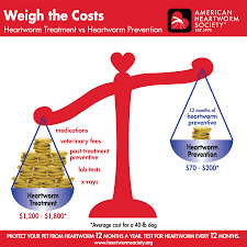 Why can vets only prescribe pet. Heartworm Prevention For Dogs American Heartworm Society