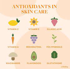 Antioxidants We Antioxidants Skin Care Polyphenols