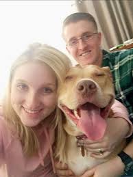 New pet business seeking local support. Like and follow for more information