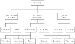 Fig2 2 Gif 702 414 Business Structure Company Structure Project Management