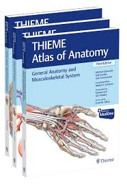 Thieme new york • stuttgart • delhi • rio de janeiro. Thieme Atlas Of Anatomy Three Volume Set Third Von Michael Sch Uuml Nke Isbn 978 1 68420 400 7 Fachbuch Online Kaufen Lehmanns De