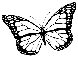 Pin De Mely Peferr En Monohrom Mariposas Para Colorear Dibujos De Mariposas Como Dibujar Mariposas