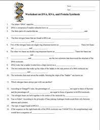 In this protein synthesis worksheet, students answer 14 short answer questions about the process of making proteins from dna. Dna Rna Protein Synthesis Worksheet Study Guide By Amy Brown Science