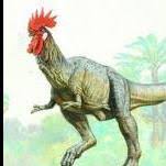 Daeodon Question General Discussion Ark Official Community Forums Die daeodon sind sehr arggessiv, stark und schnell. daeodon question general discussion