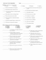 Mitosis vs meiosis other contents Z Score Worksheet Printable Worksheets And Activities For Teachers Parents Tutors And Homeschool Families