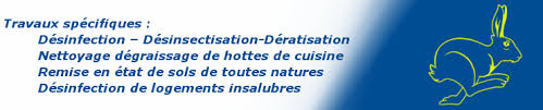 Un Nettoyage Un Sinistre La Snem Est A Votre Service