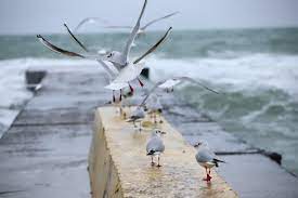 Maybe you would like to learn more about one of these? Novosti Oficialnyj Sajt Goroda Odessa