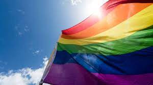 Regenbogenparade in wien in ihrer ursprünglichen form unmöglich gemacht. Dafur Steht Die Regenbogen Flagge Oe3 Orf At