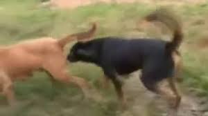 Lady wanja bitter on those, celebrated demathew death. Download Murimi Wa Kahalf Ino People Kikuyu Mugithi Songs Download Video Mp4 Mp3 2021