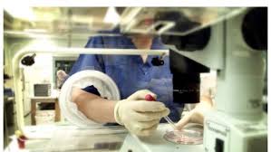 We have everything you are looking for! Egg Donor Money Fertility Clinic Offers Women 5000