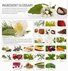 Living Aveda Our Story Ingredients Aveda Aveda Skin Care Aveda Hair