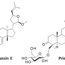 Image result for Trichilia prieuriana
