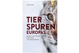 Tierspuren abbildungen | auch viele zusatzinfos gibt es: Tierspuren Europas Monumentales Standardwerk Fur Fahrtenleser Deutscher Jagdverband