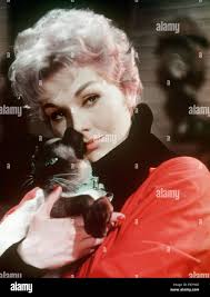 Kim novak bell book and candle hi-res stock photography and images