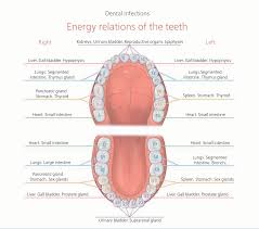 Advanced Dental Wellness Center Cosmetic Holistic