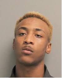 HARRIS COUNTY CONSTABLES ARREST SEVEN SUSPECTS WHO BROKE INTO A RESIDENCE  AND CAUSED $2,800.00 WORTH OF DAMAGES. SUSPECTS RECEIVED $1.00 BOND!