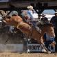 Yellowstone Darby Xtreme Bareback Event June 7th, 2026
