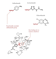 Image result for Acetazolamide