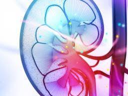 Heal your kidney to have a better life by making simple changes that have dramatic results. How To Lower Creatinine Diet Tips And Home Remedies