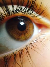 Art No Pin Limits More Pins Like This One At Fosterginger Pinterest Cool Eyes Beautiful Eyes Color Brown Eyes Aesthetic