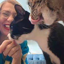 📣 We have pawsitive news—it's #NationalCatDay. To celebrate the occasion,  check out a few sweet pics of our furry friends and their humans. Enjoy! *  Image 1: Matti Allison, our fabulous Director