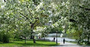 In scranton, pennsylvania, this structure has been a symbol of community debate about animal cruelty for decades, first as the failed nay aug park zoo and most recently as the genesis wildlife cent… u.s. Where To Find Spring Blooms In Central Park Central Park Conservancy