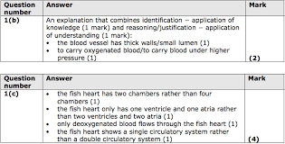 3 (ventricle and 2 atrium) how many chambers does the reptilian heart have? G E Cs H B2 S1 Q1 A Elevise