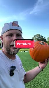 When to Plant Pumpkins in Missouri