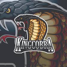 Players freely choose their starting point with their parachute and aim to stay in the safe zone for as long as possible. Free Fire Logo King Game And Movie