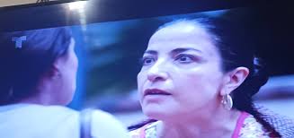 Violatta will not be able to finish saying what her eyes saw today. The  fear of Vicente is the beginning of wisdom. Cayatana was just ranting, to  report Vicente. It is easier