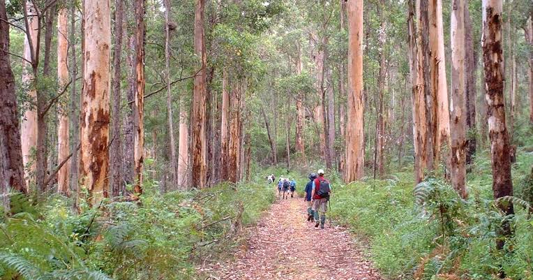 Scouting real, rugged Australian trails in real time, AI generated