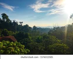 Kampung janda baik bentong, kampung janda baik, 28750, malásia. View D Villa Janda Baik Pahang Stock Photo Edit Now 1576512505