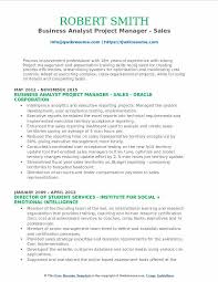 business analyst project manager resume
